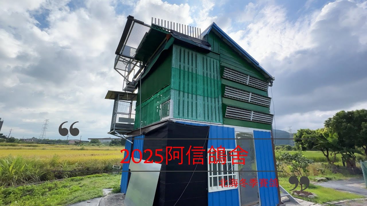 2025北海賽鴿起飛  2025 Beihai Pigeon Racing Takes Off