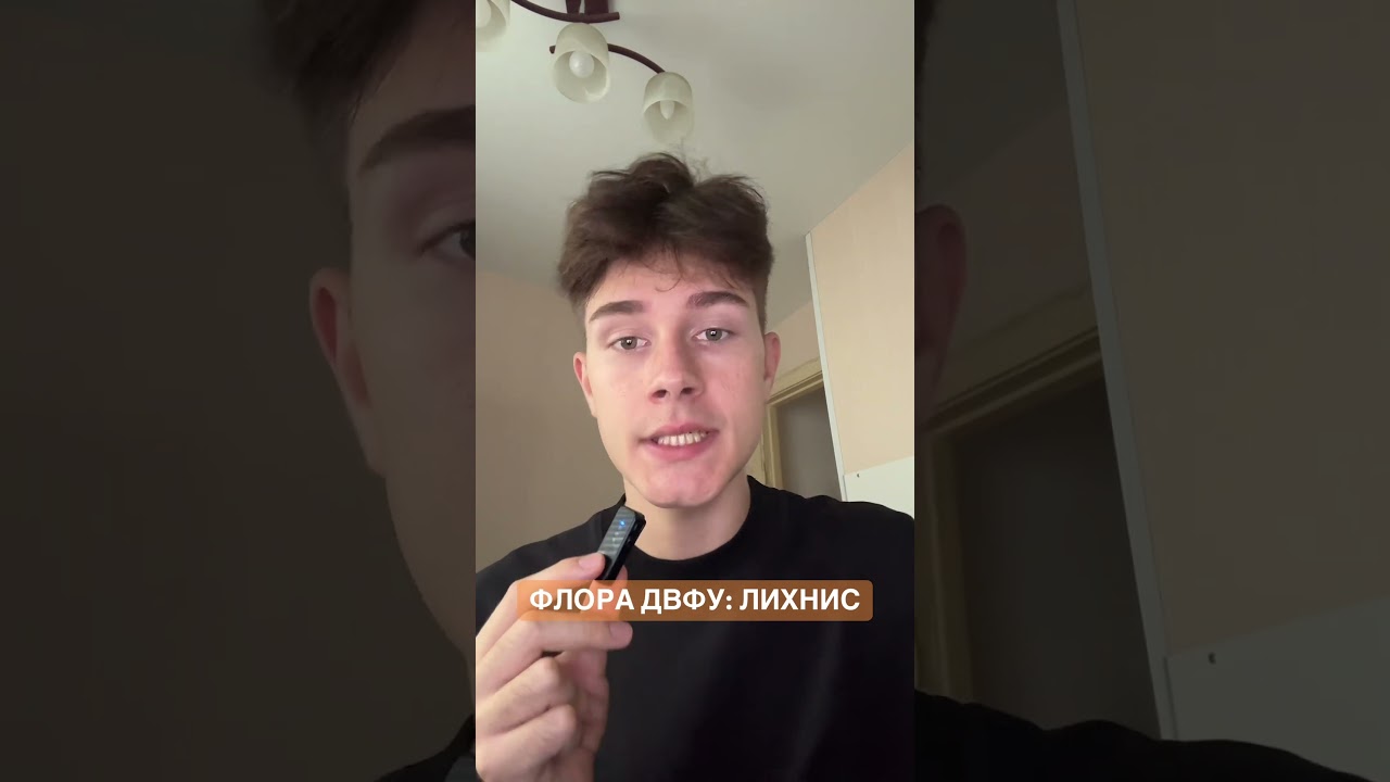 ФЛОРА ДВФУ - 27 - ЛИХНИС 🌷 