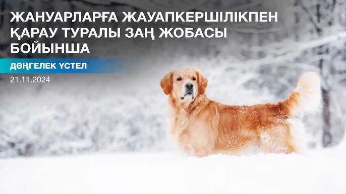 Үлкен заттарды есегін жоғары итеріп жібереді