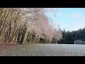 Pavo20 Pro with the 04 Air Unit Pro…. Flying with my enemy?