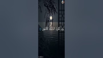 فَٱصۡبِرۡ صَبۡرٗا جَمِيلًا - عمر محجوب [ سورة الـمعارج , ٥ - ١٤ ]