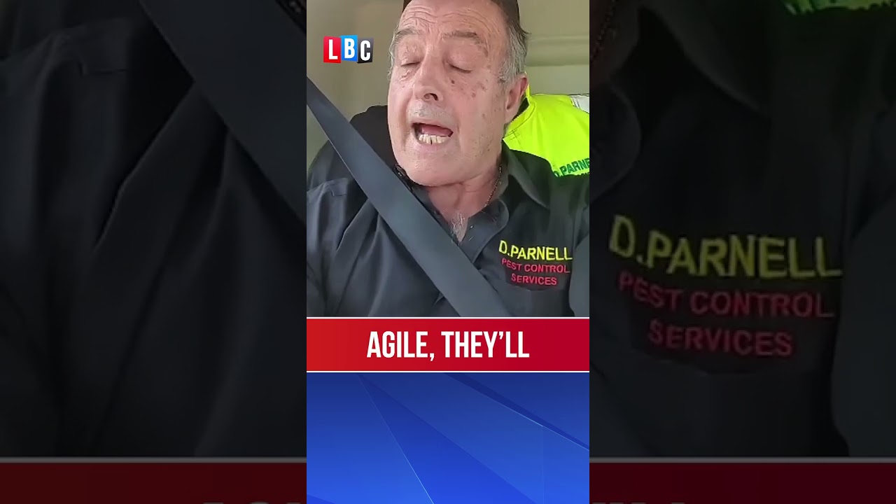 Pest control warns rat teeth are as ‘sharp as knives’ | LBC