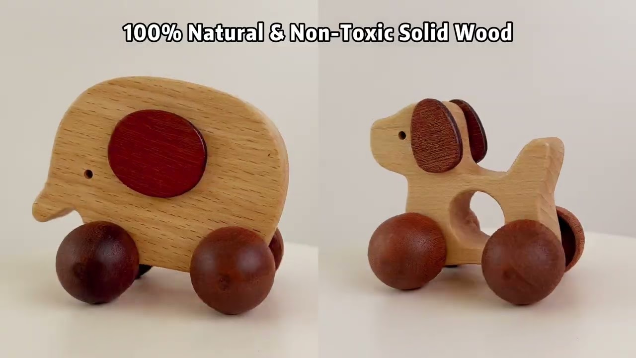 First Look: Wooden Animal Car Set for Kids – High-Quality Craftsmanship & Unboxing