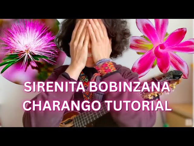 Choosing a new CHARANGO - YouTube