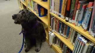 PAWS To Read