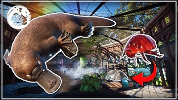 🌴 Realistic Platypus Habitat | San Cabrillo Zoo - Sandbox Series