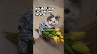 Youtube Please subscribe trending funny 2026 shorts  unfreezemyaccount youtube viral memes