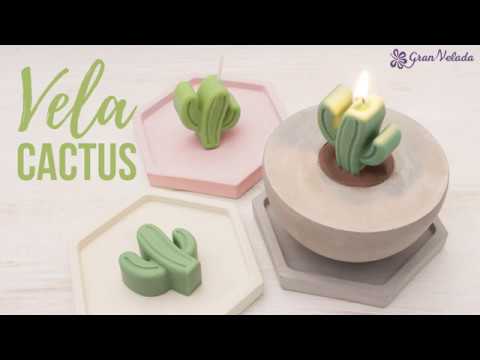 vela-cactus