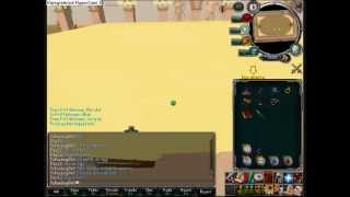 RuneScape Easter Egg Glitch