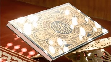 سورة القيامه بصوة القارئ العراقي