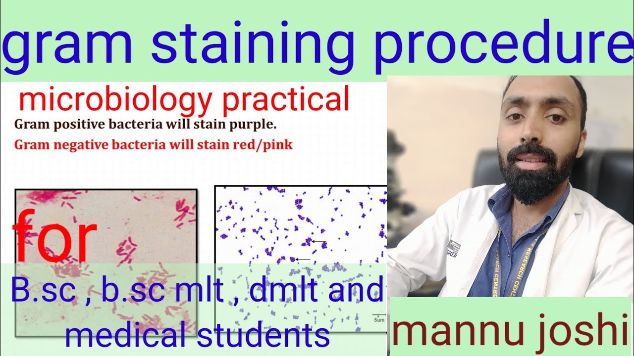 Gram staining procedure in hindi/Gram stain kese kre - YouTube