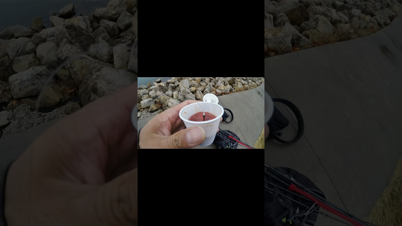 “Catfish Chicken Liver Secret Trick —Mess Free!” 