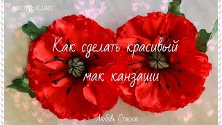:   /   / The Poppy/D.I.Y