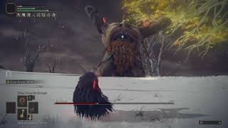 Elden Ring: Fire Giant - RL1 (Melee Only/Solo/No Damage/No Summons)