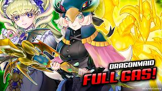 LET'S FULL COMBO, CHAMBER! Deck Dragunity Dragonmaid Post Battles of Legends 2026 | MDPRO3