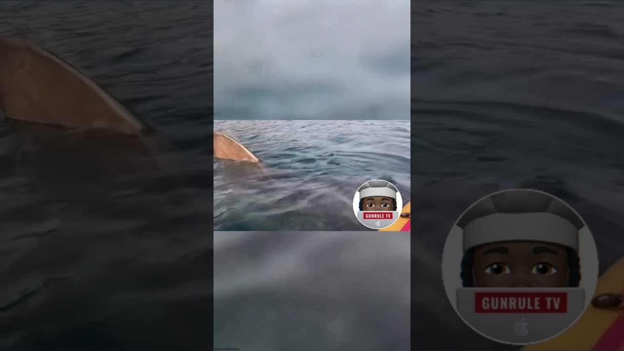 GIANT SHARK SWIMs PASS KAYAKER 