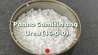 Paano Gamitin ang Urea 46-0-0 | How to use urea fertlizer #urea #46-0-0 #fertilizer #howto