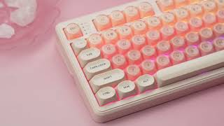 Womier WK98 Unboxing | A Stunning 98% Mechanical Keyboard screenshot 3