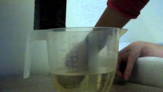 DSCF2261.AVI