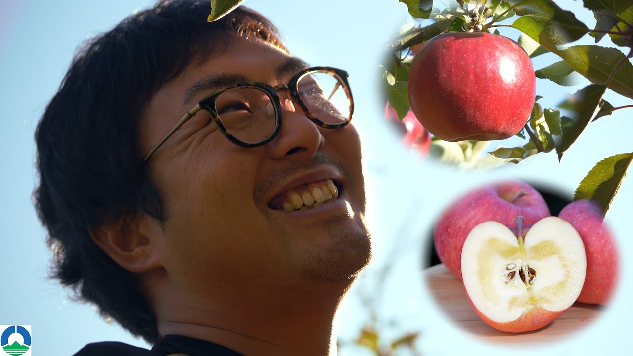 【りんご栽培】八幡平市地域おこし協力隊 古屋亮輔_2019.10.28