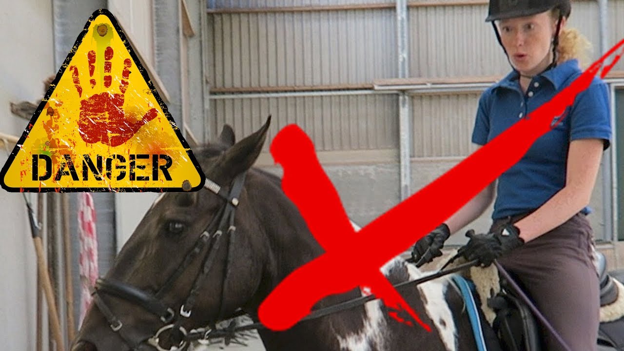 10 DINGEN die je NIET moet doen bij paarden of paardrijden