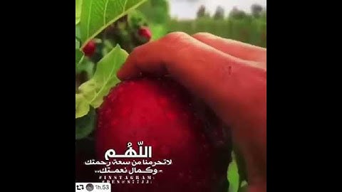 مـ◇ـا تيسر من سوره الرحمن بصوت القارئ اسلام صبحى 💭