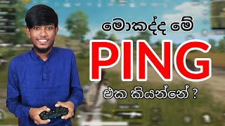 What is PING? | Sinhala