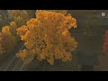 가을 감성 제대로 느끼는 중 🍂🇰🇷Mùa thu ở Hàn Quốc đẹp như một bộ phim 🍁🇰🇷#koreavlog#dulichhanquoc 