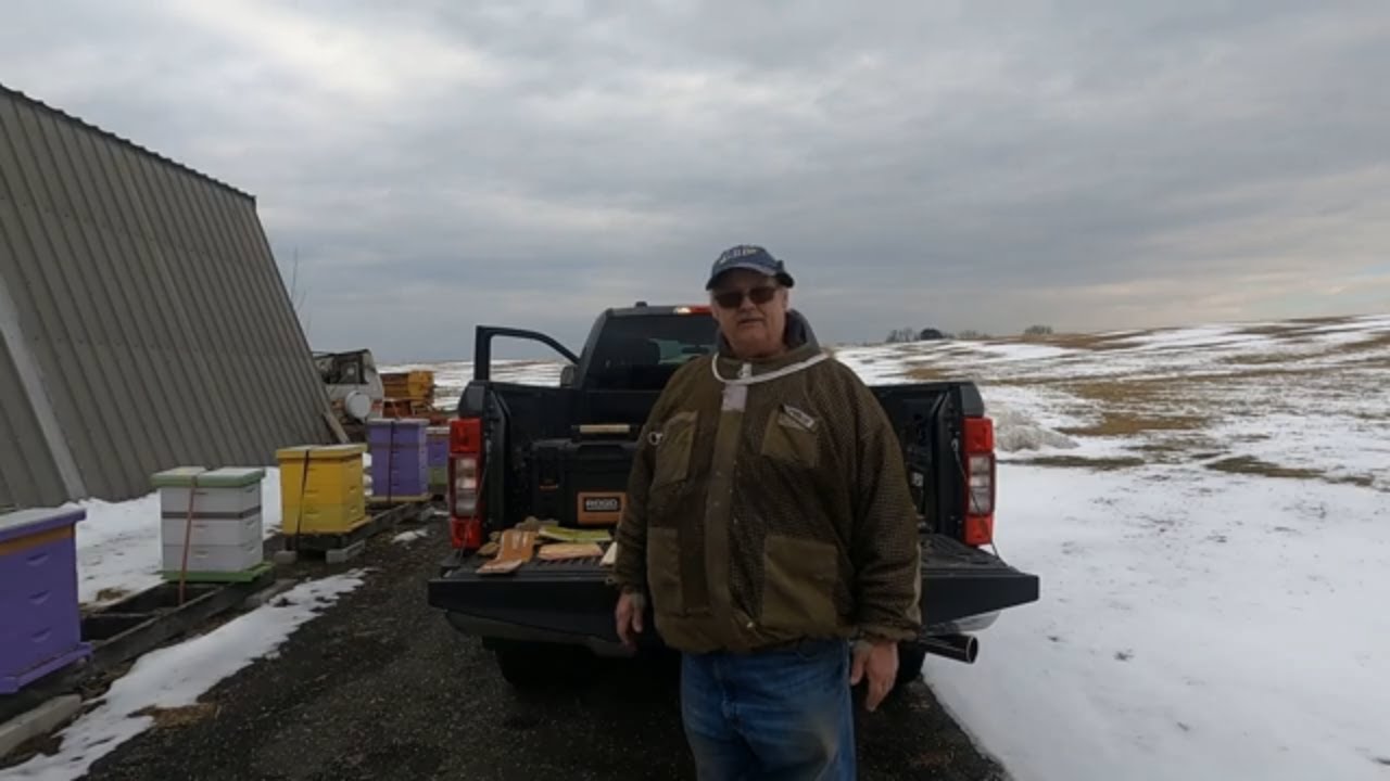 Кормление пчел 25 февраля 2026 г.