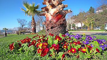 Timelapse trial with DIY Motorized slider and 120 min. 360° panning adapter [4K]