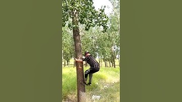 A wearable tool for climbing trees