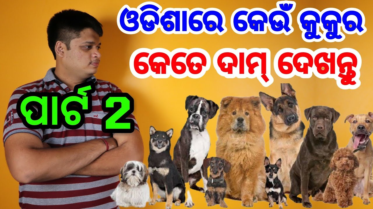 Different Dog Breeds Price In Odisha India, details, nature, Kennel or