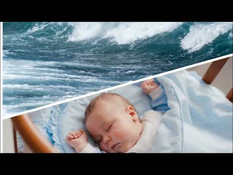 Video: Valkoisenmeren asukkaat: luettelo, kuva kuvauksella