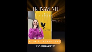 Treinamento de Equipe Forever Infinity com Erica Gazola Tema Educação Emocional p/ Negócios 18/12/25