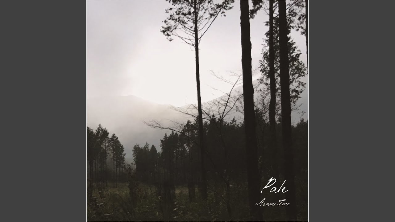 Watch Forest on YouTube Watch Forest on YouTube