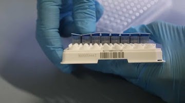 TRANSIL screening assays: supernatant sampling