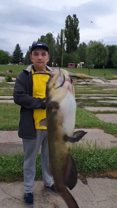 Результаты Шаманства Супер Улов Сом Большой Жирный Рыбалка 🐟 Винница 😜 ...