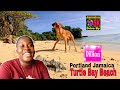 Innes Bay Beach To Turtle Bay Beach Dillion LONG ROAD Portland Jamaica mp3