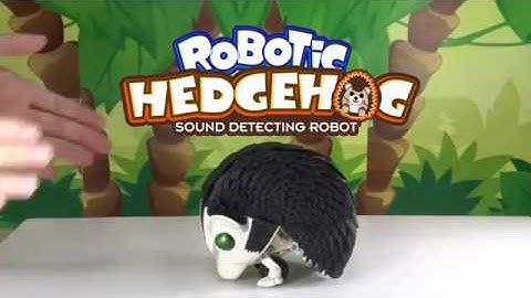21-896 Robotic Hedgehog