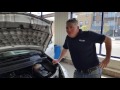 Rat, Mice, Vermin, living in you Car and Steps to Remove and Decontamination Rat, Mice, Vermin, living in you Car and Steps to Remove and Decontamination