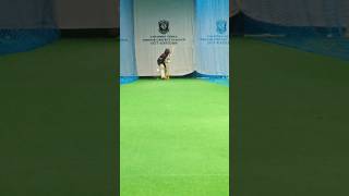 Mastering Cricket Batting in the Nets | Dumanga Dissanayake #cricket #shorts