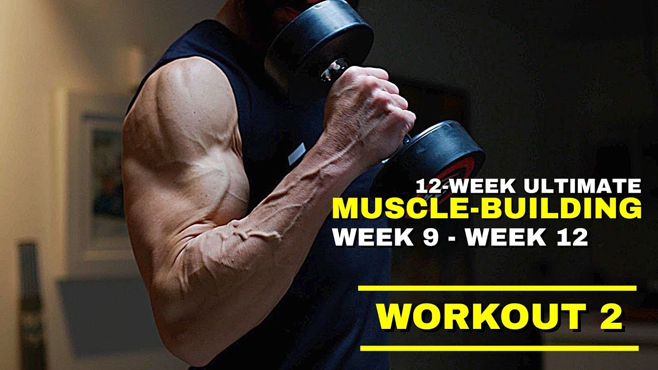12-Week Ultimate Muscle-Building Program | Week 9 - Week 12 | Workout 2 ...