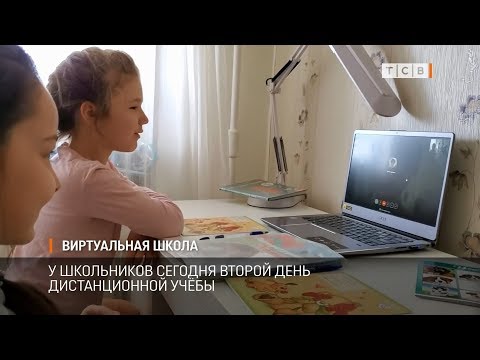 Виртуальная школа