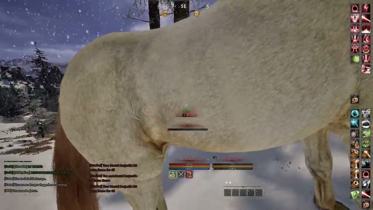 Horse Meat and Meyem    can't resist