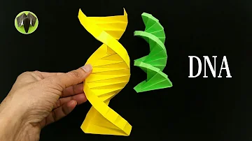 Come costruire l'elica del DNA?