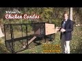 Backyard Chickens - Chicken Coop Ideas