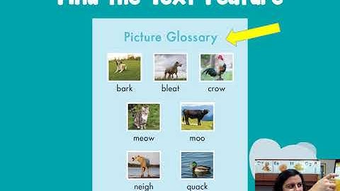 Module B Unit 1 Lesson 2 guided practice
