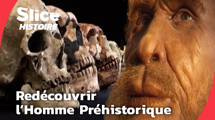 À Quoi Ressemblaient Nos Ancêtres? Ce Que la Science Révèle | SLICE HISTOIRE | DOC COMPLET