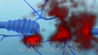 Antonio Carlos Zattar-53