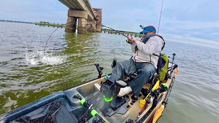 Every Drop = A Fish! INSANE Winter Bridge Bite from the Kayak